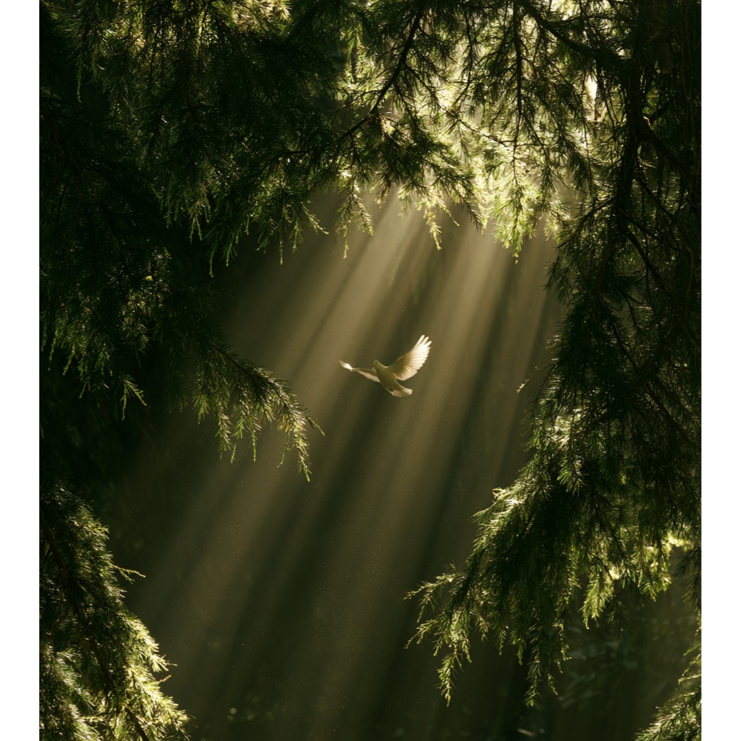 EMBODIMENT (ВОПЛОЩЕНИЕ) — Inner Scent, фото 2