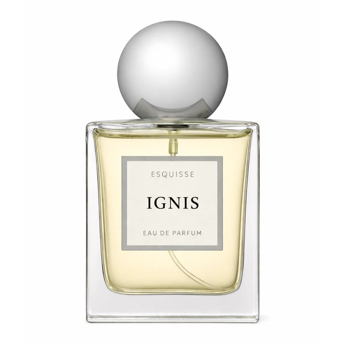 IGNIS